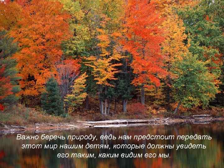 Важно беречь природу, ведь нам предстоит передать этот мир нашим детям, которые должны увидеть