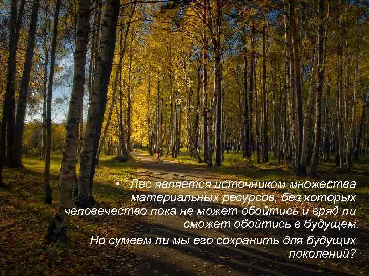  • Лес является источником множества материальных ресурсов, без которых человечество пока не может