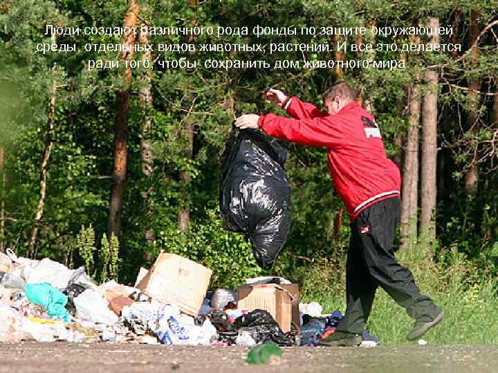 Люди создают различного рода фонды по защите окружающей среды, отдельных видов животных, растений. И