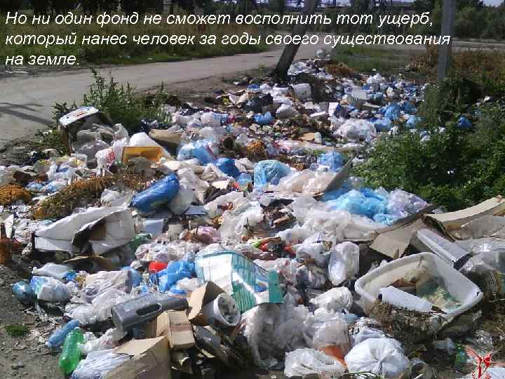 Но ни один фонд не сможет восполнить тот ущерб, который нанес человек за годы