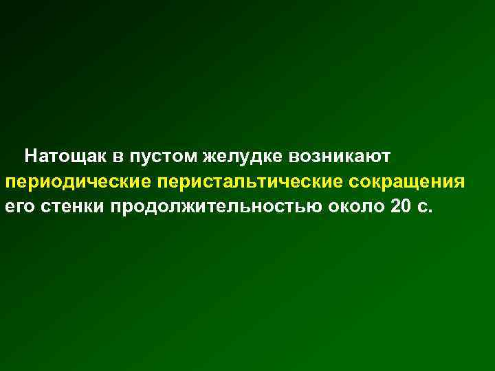 Натощак в пустом желудке возникают периодические перистальтические сокращения его стенки продолжительностью около 20 с.