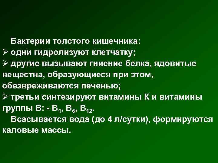 Бактерии толстого кишечника: одни гидролизуют клетчатку; другие вызывают гниение белка, ядовитые вещества, образующиеся при