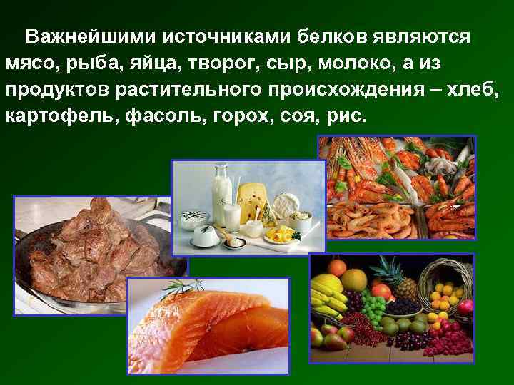 Важнейшими источниками белков являются мясо, рыба, яйца, творог, сыр, молоко, а из продуктов растительного