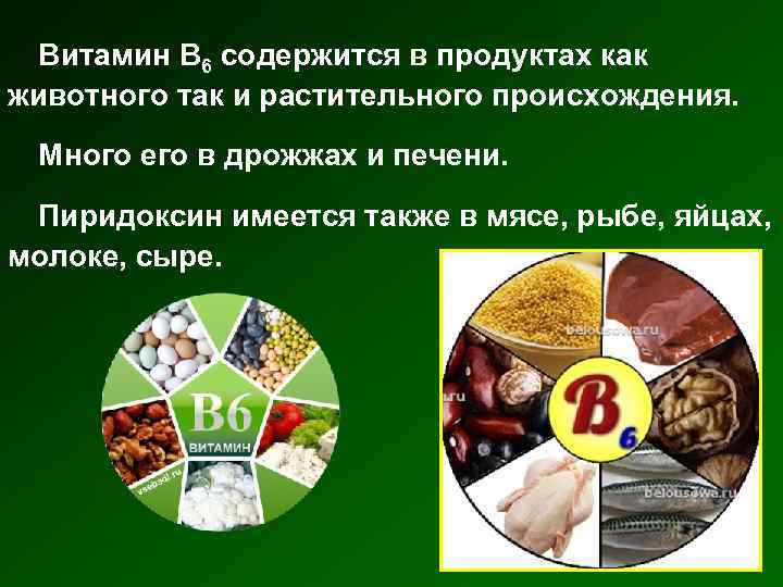 Витамин В 6 содержится в продуктах как животного так и растительного происхождения. Много его