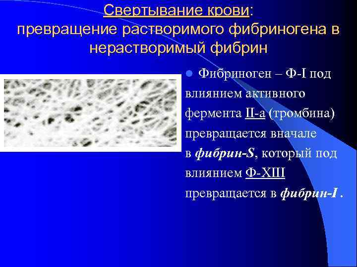 Свертывание крови: превращение растворимого фибриногена в нерастворимый фибрин l Фибриноген – Ф-I под Свертывание крови: превращение растворимого фибриногена в нерастворимый фибрин l Фибриноген – Ф-I под