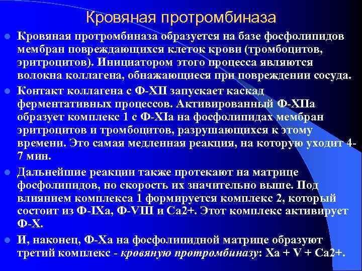 Кровяная протромбиназа l Кровяная протромбиназа образуется на базе фосфолипидов мембран повреждающихся клеток крови Кровяная протромбиназа l Кровяная протромбиназа образуется на базе фосфолипидов мембран повреждающихся клеток крови