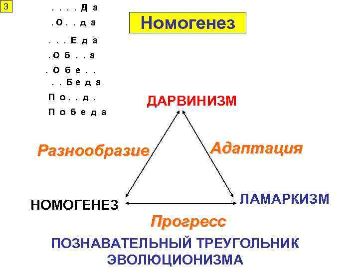 3 . . Д а. О. . д а Номогенез . . . Е