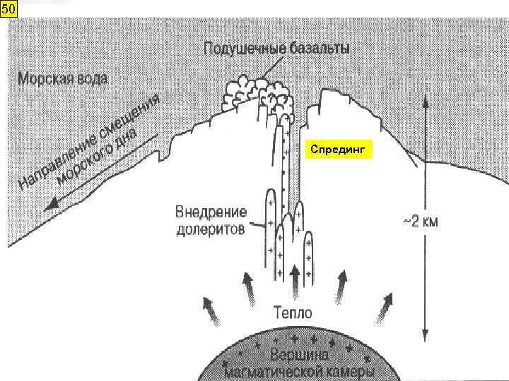 50 Альфред Лотар Вегенер (немецкий метеоролог) (1880 -1930) Мобилизм 1912 г. Дрейф континентов Спрединг