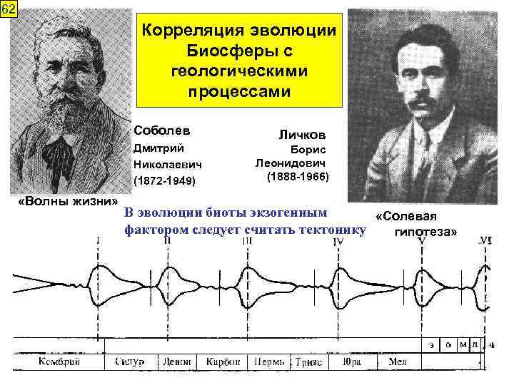 62 Корреляция эволюции Биосферы с геологическими процессами Соболев Дмитрий Николаевич (1872 -1949) «Волны жизни»