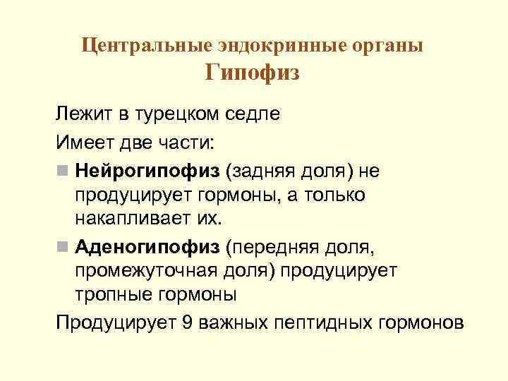 Центральные эндокринные органы Гипофиз Лежит в турецком седле Имеет две части: n Нейрогипофиз (задняя