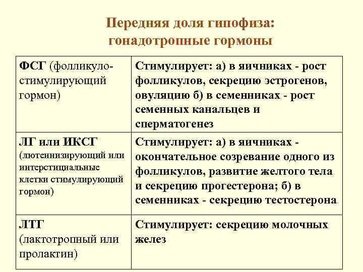 Передняя доля гипофиза: гонадотропные гормоны ФСГ (фолликулостимулирующий гормон) Стимулирует: а) в яичниках - рост