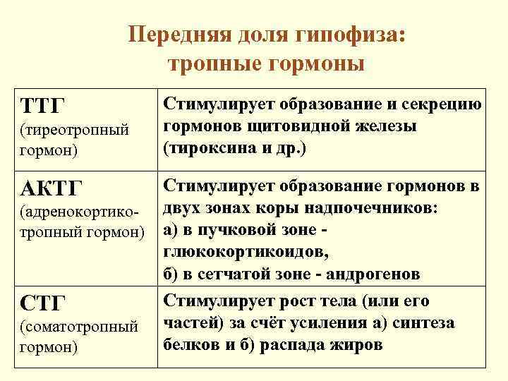 Передняя доля гипофиза: тропные гормоны ТТГ (тиреотропный гормон) АКТГ (адренокортикотропный гормон) СТГ (соматотропный гормон)