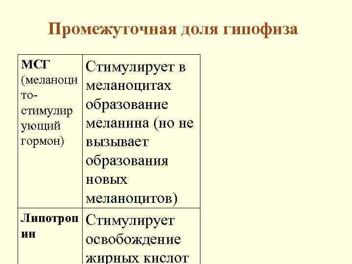 Промежуточная доля гипофиза МСГ (меланоци тостимулир ующий гормон) Стимулирует в меланоцитах образование меланина (но