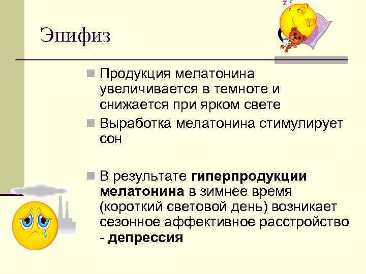 Эпифиз n Продукция мелатонина увеличивается в темноте и снижается при ярком свете n Выработка