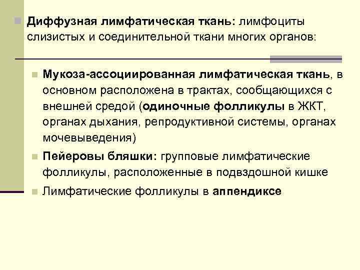 n Диффузная лимфатическая ткань: лимфоциты слизистых и соединительной ткани многих органов: n Мукоза-ассоциированная лимфатическая
