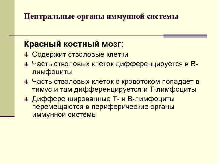 Центральные органы иммунной системы Красный костный мозг: Содержит стволовые клетки Часть стволовых клеток дифференцируется
