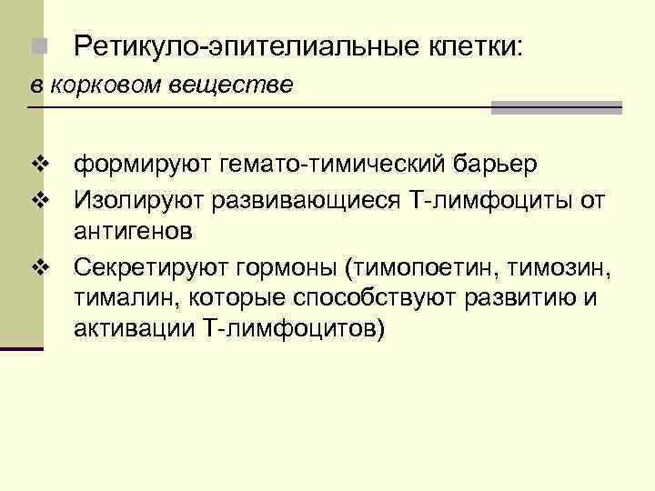 n Ретикуло-эпителиальные клетки: в корковом веществе v формируют гемато-тимический барьер v Изолируют развивающиеся Т-лимфоциты