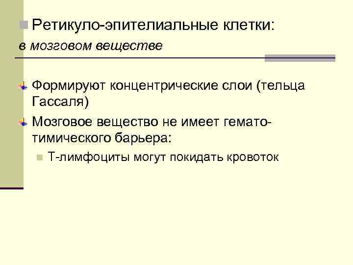 n Ретикуло-эпителиальные клетки: в мозговом веществе Формируют концентрические слои (тельца Гассаля) Мозговое вещество не