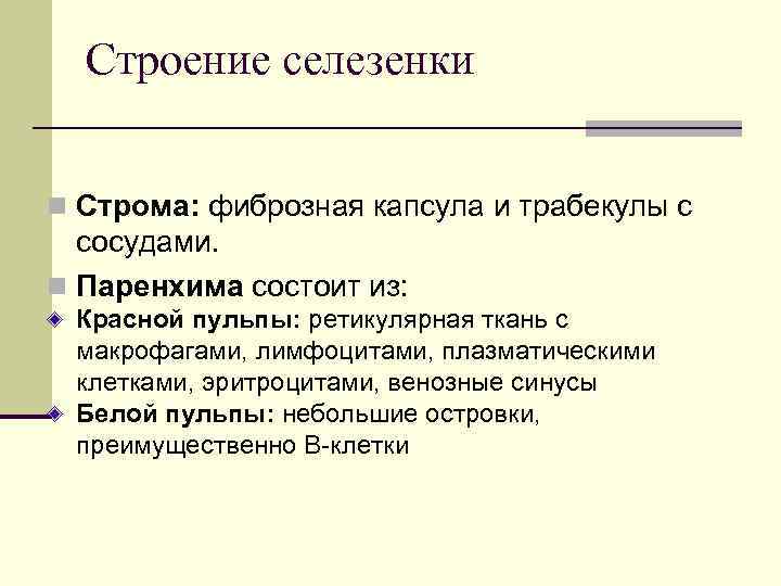 Строение селезенки n Строма: фиброзная капсула и трабекулы с сосудами. n Паренхима состоит из: