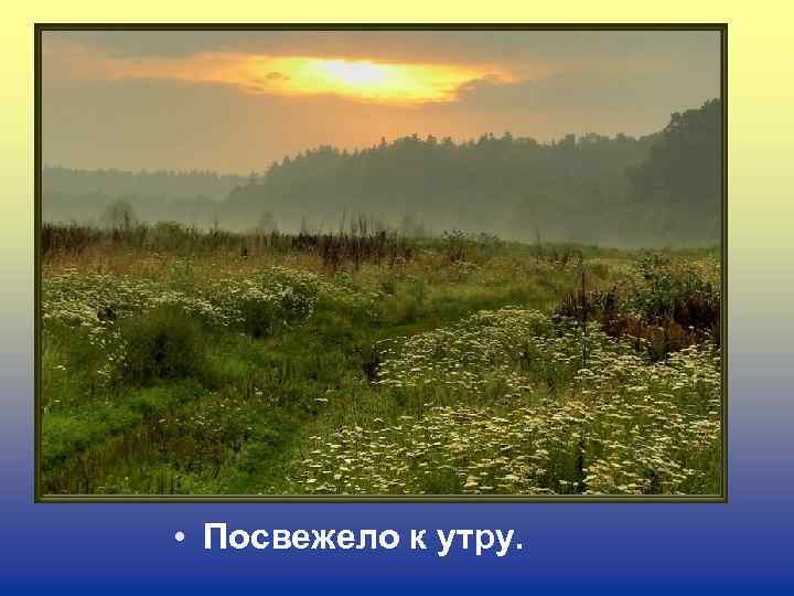 • Посвежело к утру. 