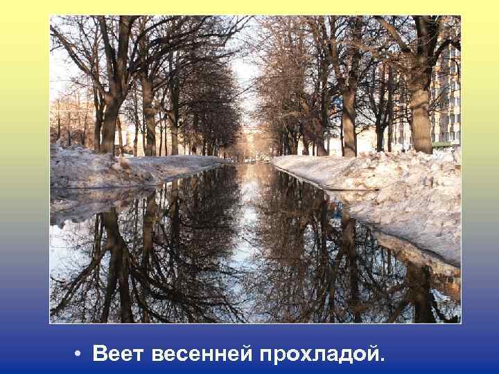  • Веет весенней прохладой. 