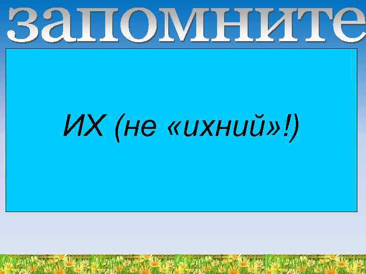 ИХ (не «ихний» !) 