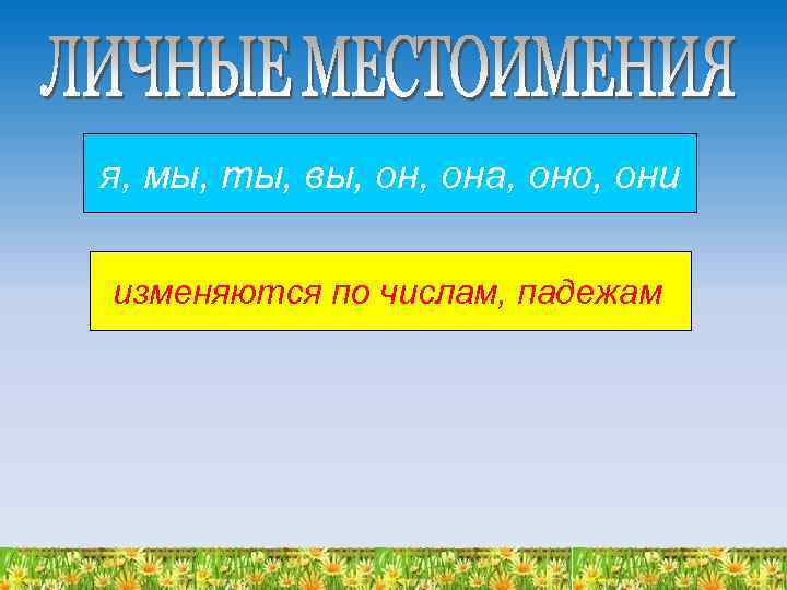 я, мы, ты, вы, она, оно, они изменяются по числам, падежам 