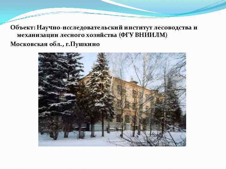 Объект: Научно-исследовательский институт лесоводства и механизации лесного хозяйства (ФГУ ВНИИЛМ) Московская обл. , г.