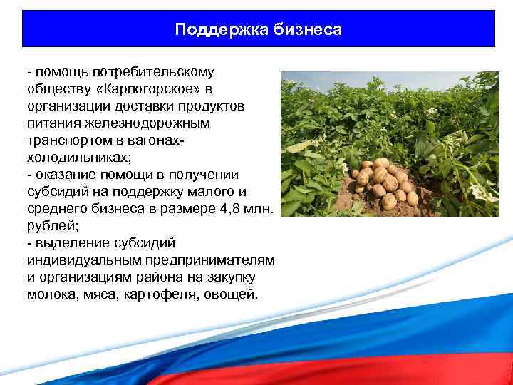 Поддержка бизнеса - помощь потребительскому обществу «Карпогорское» в организации доставки продуктов питания железнодорожным транспортом
