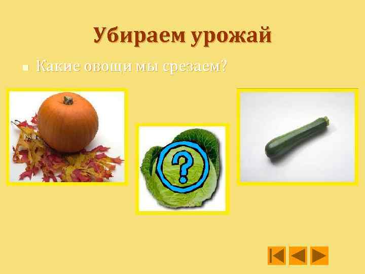 Убираем урожай n Какие овощи мы срезаем? 