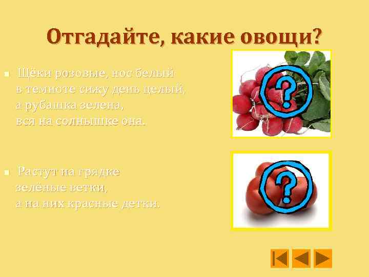 Отгадайте, какие овощи? n n Щёки розовые, нос белый в темноте сижу день целый,