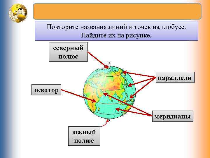 Повторите названия линий и точек на глобусе. Найдите их на рисунке. северный полюс параллели