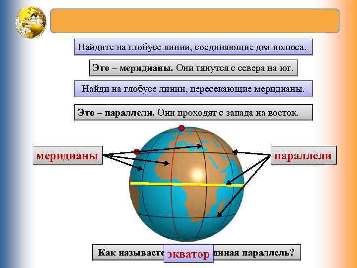 Найдите на глобусе линии, соединяющие два полюса. Это – меридианы. Они тянутся с севера