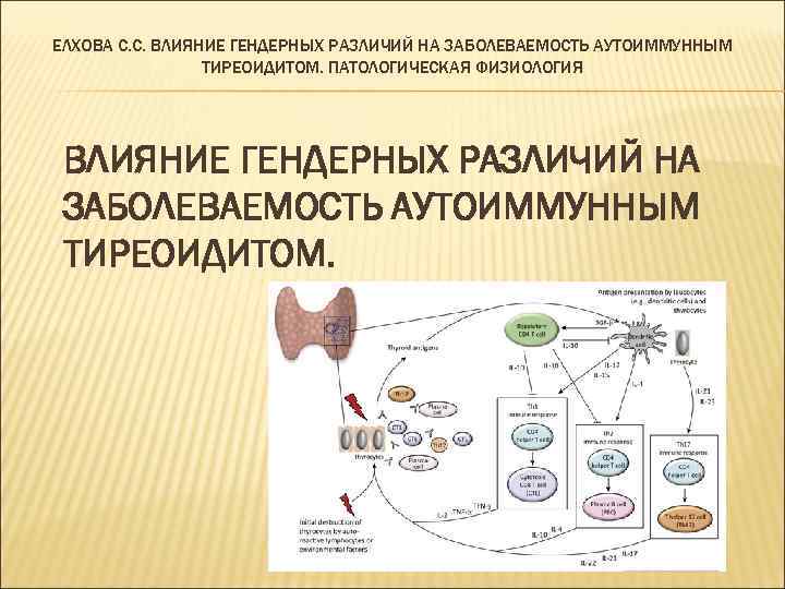 ЕЛХОВА С. С. ВЛИЯНИЕ ГЕНДЕРНЫХ РАЗЛИЧИЙ НА ЗАБОЛЕВАЕМОСТЬ АУТОИММУННЫМ ТИРЕОИДИТОМ. ПАТОЛОГИЧЕСКАЯ ФИЗИОЛОГИЯ ВЛИЯНИЕ ГЕНДЕРНЫХ