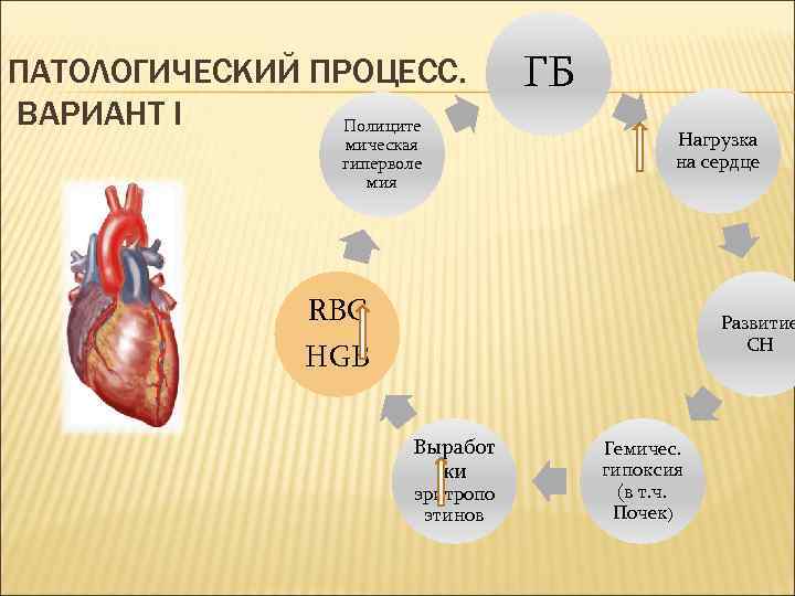 ПАТОЛОГИЧЕСКИЙ ПРОЦЕСС. ВАРИАНТ I Полиците мическая гиперволе мия ГБ Нагрузка на сердце RBC Развитие