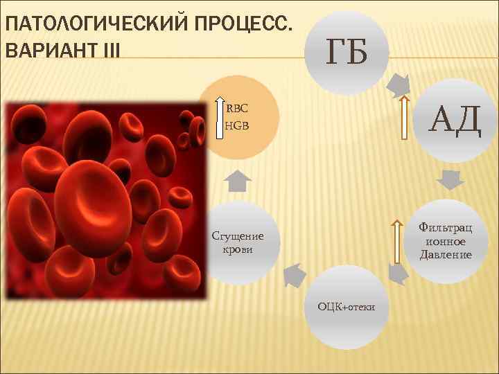 ПАТОЛОГИЧЕСКИЙ ПРОЦЕСС. ВАРИАНТ III ГБ АД RBC HGB Фильтрац ионное Давление Сгущение крови ОЦК+отеки