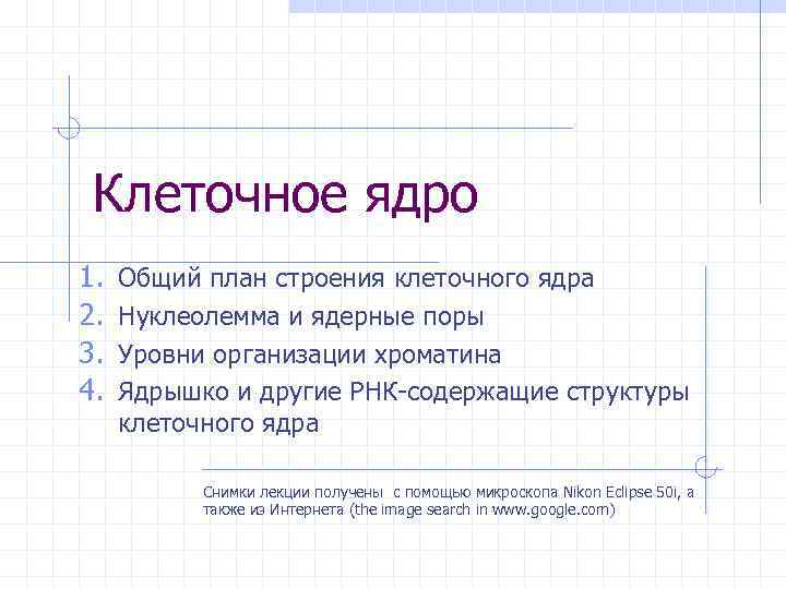 Клеточное ядро 1. 2. 3. 4. Общий план строения клеточного ядра Нуклеолемма и ядерные