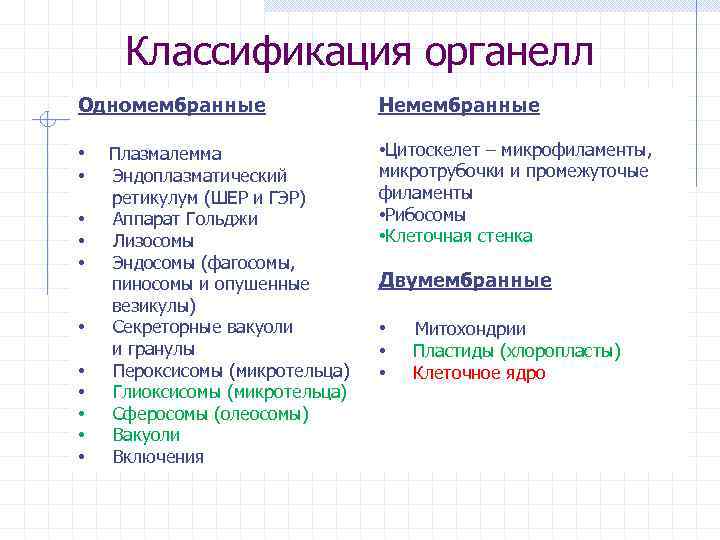 Классификация органелл Одномембранные Немембранные • • Цитоскелет – микрофиламенты, микротрубочки и промежуточые филаменты •