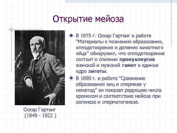 Открытие мейоза В 1875 г. Оскар Гертвиг в работе “Материалы к познанию образования, оплодотворения
