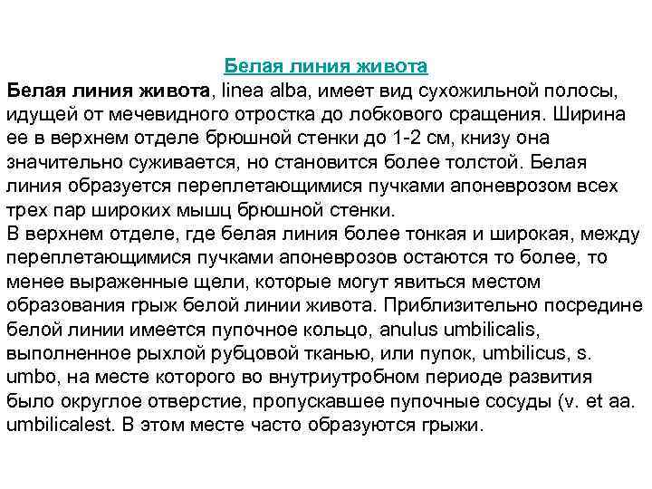Белая линия живота, linea alba, имеет вид сухожильной полосы, идущей от мечевидного отростка до