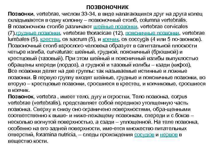 ПОЗВОНОЧНИК Позвонки, vertebrae, числом 33 34, в виде налагающихся друг на друга колец складываются
