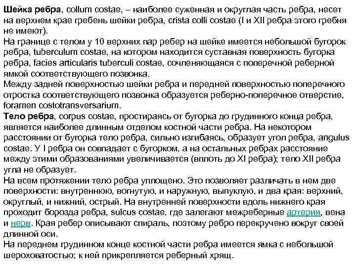 Шейка ребра, collum costae, – наиболее суженная и округлая часть ребра, несет на верхнем