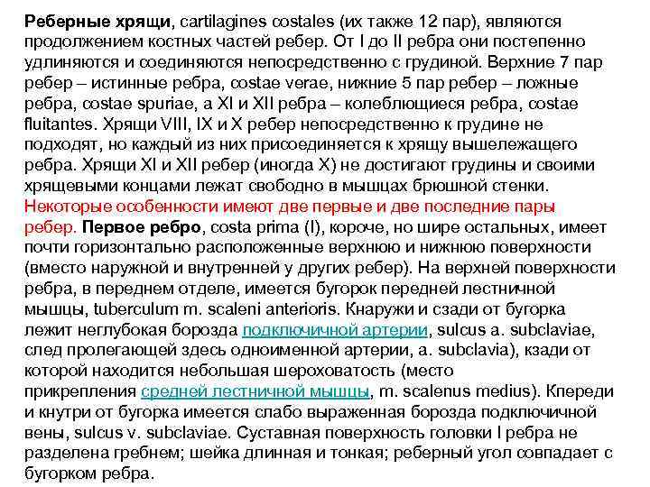 Реберные хрящи, cartilagines costales (их также 12 пар), являются продолжением костных частей ребер. От