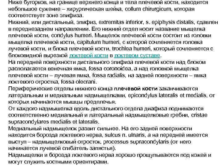Ниже бугорков, на границе верхнего конца и тела плечевой кости, находится небольшое сужение –