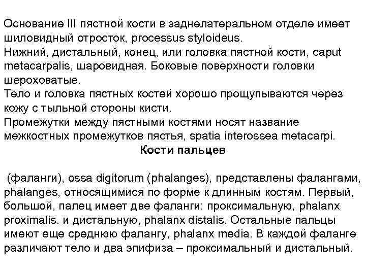 Основание III пястной кости в заднелатеральном отделе имеет шиловидный отросток, processus styloideus. Нижний, дистальный,
