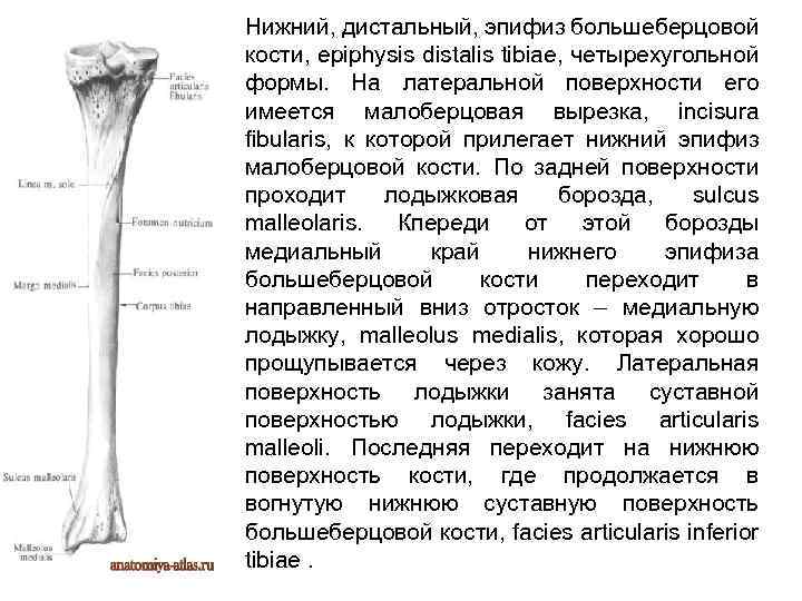 Кистовидная перестройка костной ткани