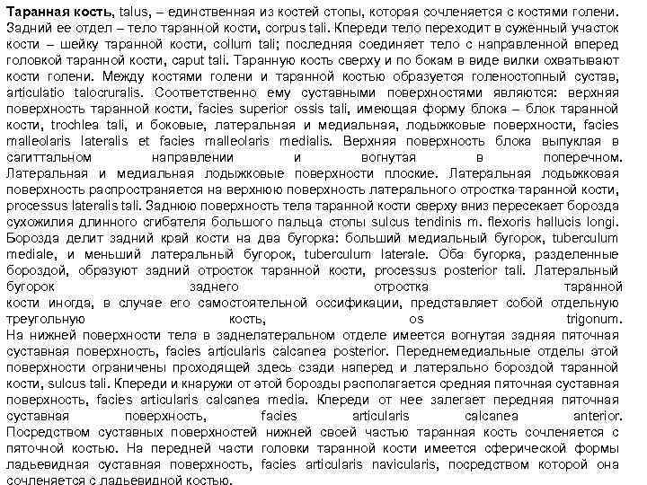 Таранная кость, talus, – единственная из костей стопы, которая сочленяется с костями голени. Задний