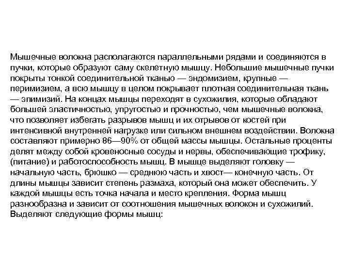 Мышечные волокна располагаются параллельными рядами и соединяются в пучки, которые образуют саму скелетную мышцу.