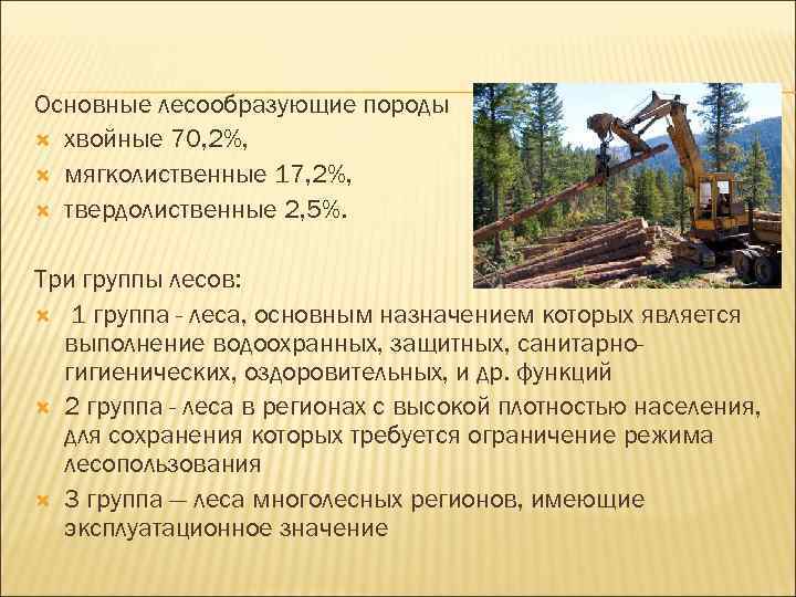 Основные лесообразующие породы хвойные 70, 2%, мягколиственные 17, 2%, твердолиственные 2, 5%. Три группы