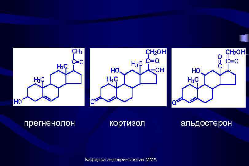 прегненолон кортизол Кафедра эндокринологии ММА альдостерон 